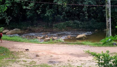 Refúgio da Coruja - Foto 2