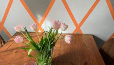 Ferienwohnung Pomaria - 4 Sterne zertifiziert - Foto 4