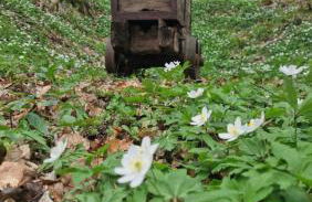 Holle - Land Holidays, parterre Ferienwohnung - Foto 26