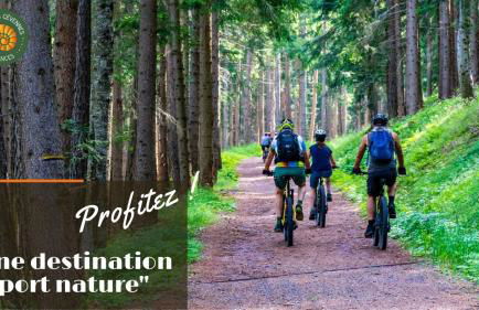 Alberguiere - Piscine chauffée - plancha - barbecue - Foto 15