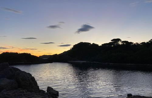 CAP SUD 83 APPART VUE MER 200m plages - Foto 23