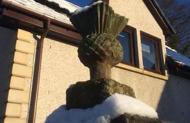 Wallace's Rest - Photo 28