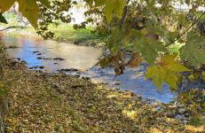 Urban River House - Foto 60