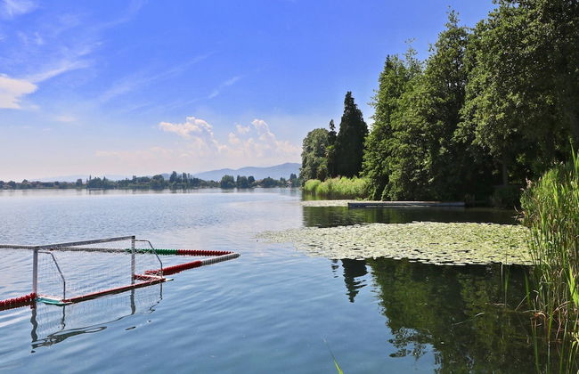 Rododendro Rosso - Foto 35