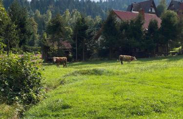 Noclegi "Na Szczyrboku" Dom I - Foto 3
