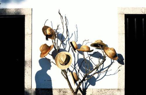 Casa Dos Gomes - Foto 17