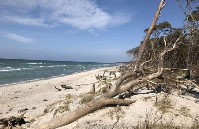 Nice Apartment in Ostseebad Wustrow - Foto 16