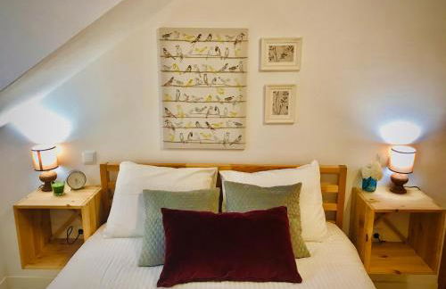 Confort Nordico Aranjuez garaje, NETFLIX - Foto 14