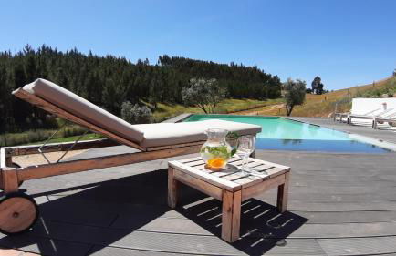 Gecko Pego Longo - Foto 25