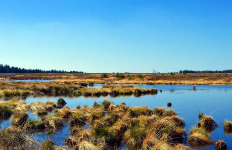 Ferienwohnung am Eifelsteig - Foto 38
