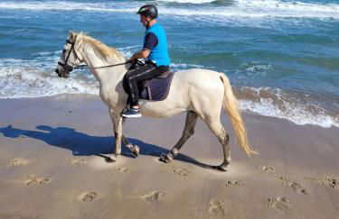 Villa Maddalena guest house - Photo 46