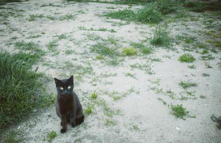 Agroturystyka u Miłosza - Foto 53