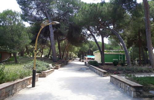 STUDIO Luxe CENTER BAY 4 - Photo 21