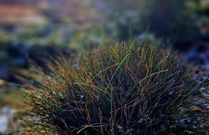 Widokowo - Domki z widokiem na Śnieżkę z Jacuzzi i Sauną - Photo 22