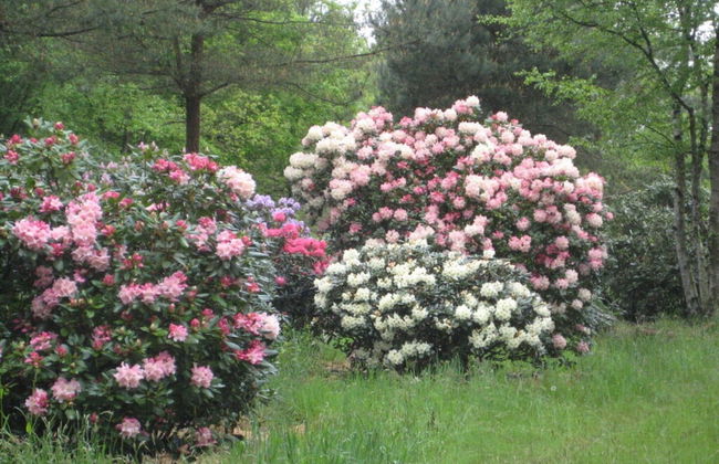 Dollhouse Modern Retreat - Foto 28