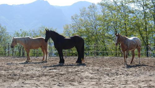 Agriturismo SPA Serpanera - Photo 5