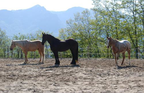 Agriturismo SPA Serpanera - Photo 5