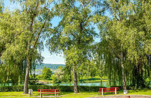 Löwe Apartment Grün Küssaberg am Rhein - Foto 23