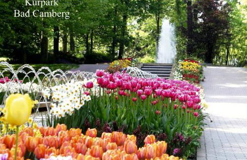 Das Moevennest - Photo 26