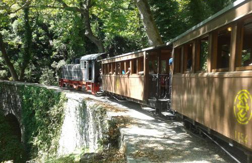 Milies Historic Chalet Pelion - Foto 66