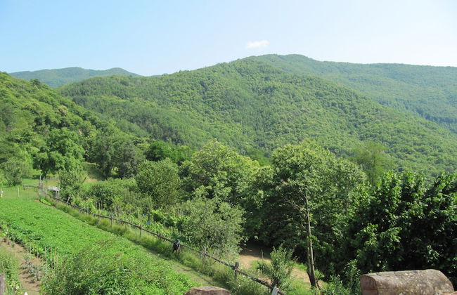 Cottage in Casoli Near Ski Slopes - Foto 22