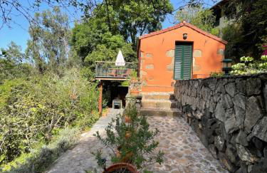 Dúplex de invitados en medio del bosque - Foto 11