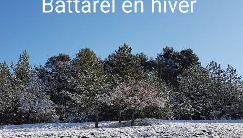 Domaine de Battarel, 4 hectares en Luberon - Foto 2