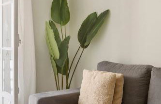 Boho Chic 2 bedroom gem 10 min from dowtown free parking - Photo 6