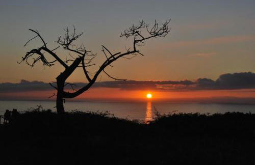 Apartamentos Rurales "La Torre" y "El Pielago" - Foto 82
