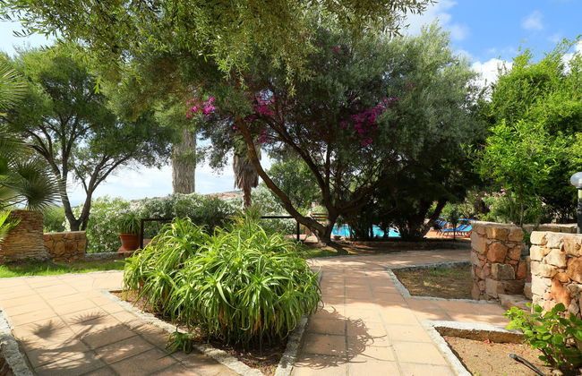 Bouganville - Foto 32