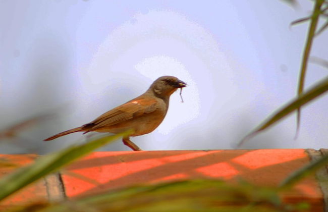 Ecoair Apartment Hotel - Foto 40