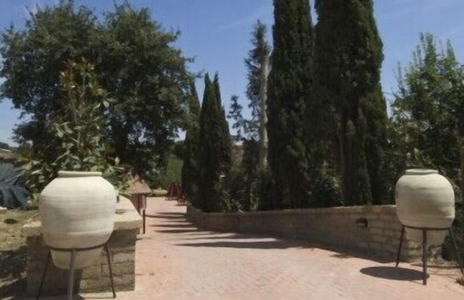 Azienda Agricola Sinisi - Foto 27