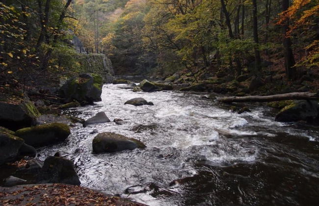 Family-friendly Timmenrode Stay - Foto 28