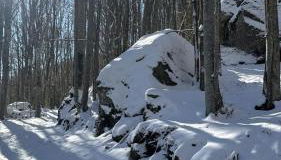 Sogno Amiatino - Foto 5