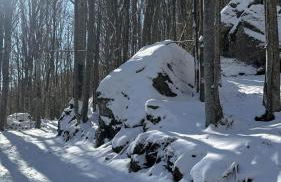 Sogno Amiatino - Foto 5