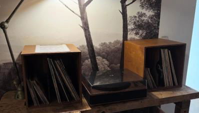 La Damoiselle en Bourgogne - Foto 5