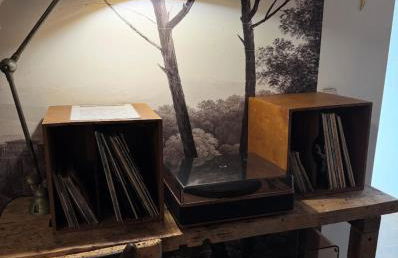 La Damoiselle en Bourgogne - Foto 5