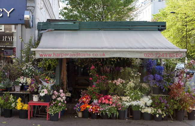 Arundel Gardens by Onefinestay - Photo 29