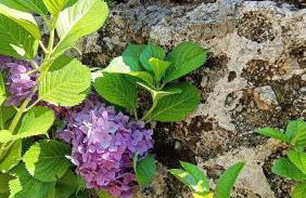 Casale Forno Vecchio - Foto 61