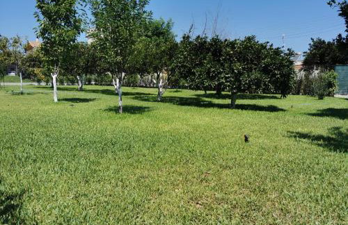 Kardiakafti Village - Foto 65