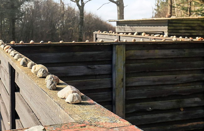 Cozy Holiday Home in Jutland near Limfjorden - Foto 45