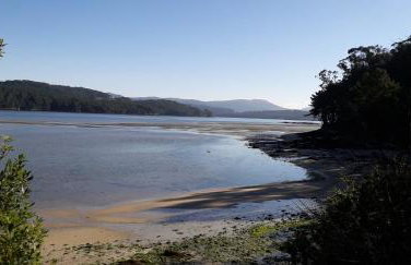 CASA abruñeiras - Foto 16