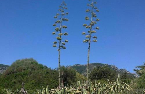 Villa ROSA Tertenia - Foto 72