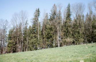 Ferienwohnung im Allgäu für Gruppen bis 12 Personen - ALIMA der Hof - Photo 36