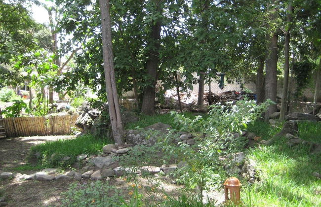 Tzikin Jaay - Foto 16