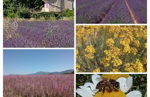 Entre Vignes & Piano "Symphonie" studio 4 personnes - Foto 42