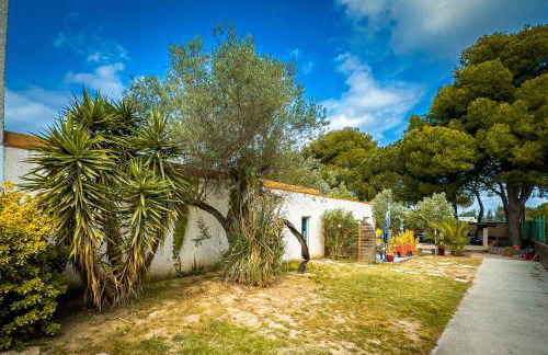 La Cigaliere en Cote Vermeille - Foto 75