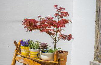 Villa R&B heated pool - Photo 40