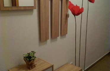 Studio Apartman Ždral - Foto 16