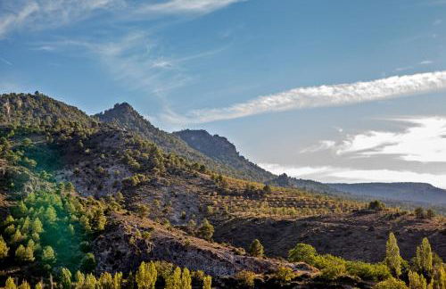 Camping Las Nogueras de Nerpio - Foto 33